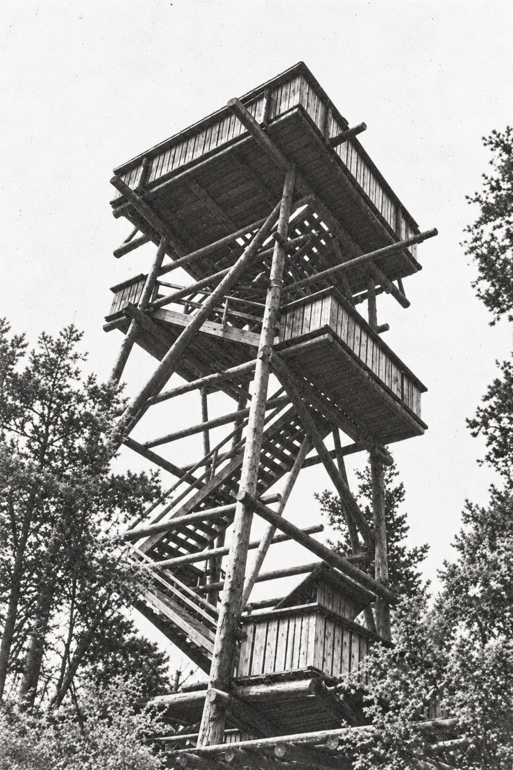 Historische Aufnahme des Aussichtsturms am Schwarzenberg im Naturpark Nordwald