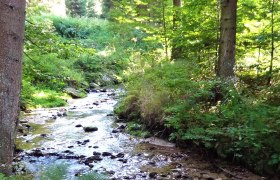 Der Weg entlang der Lainsitz - Route 2 - Nebelstein, © Verein Naturpark Nordwald