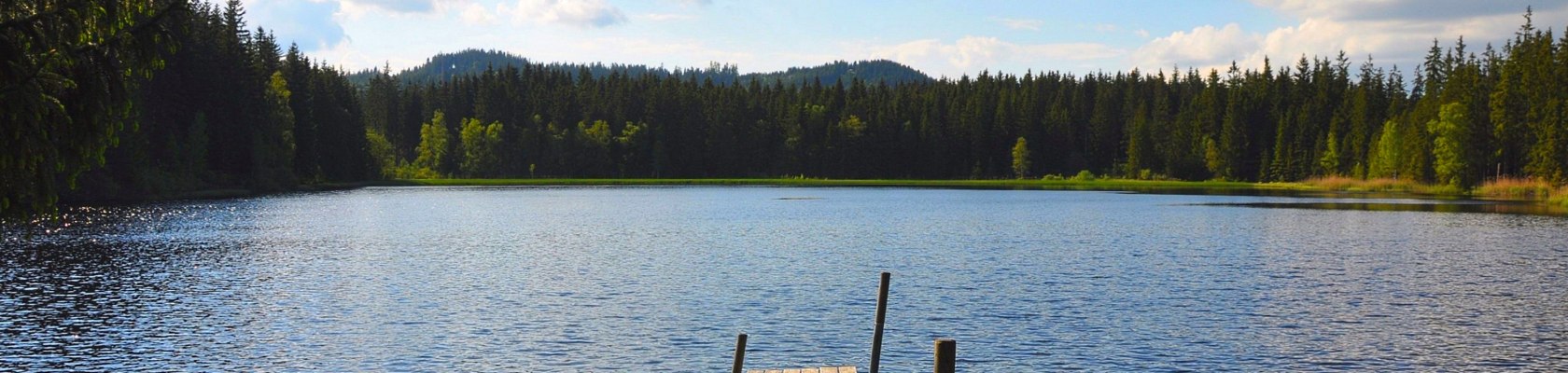 Stierhüblteich in Karlstift, © Verein Naturpark Nordwald | Foto: Dr. Reinhard Nieder
