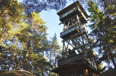 Projekt Nachfolgemodell für den Aussichtsturm am Schwarzenberg, © Verein Naturpark Nordwald | Foto: Dr. Reinhard Nieder