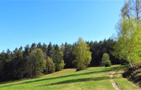 Feldweg im Naturpark Nordwald, © Verein Naturpark Nordwald