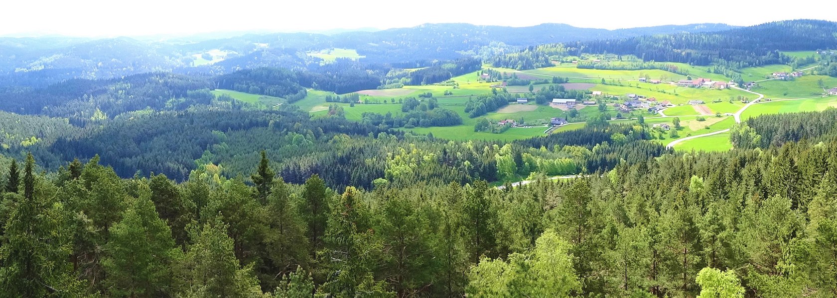 View from the lookout tower on Schwarzenberg hill, © Verein Naturpark Nordwald
