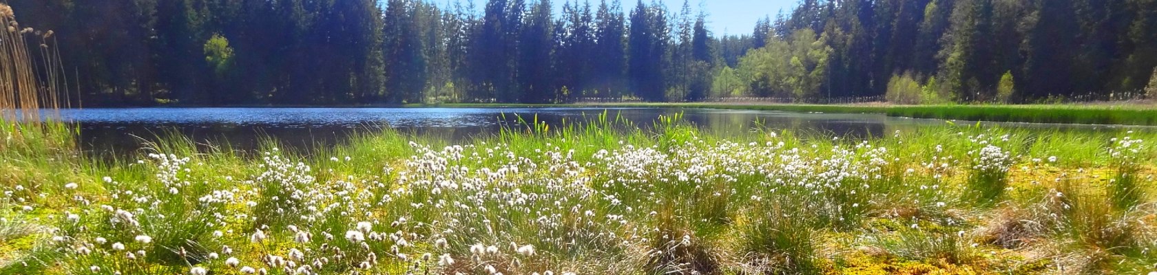 Stierh&uuml;blteich in Karlstift, &copy; Verein Naturpark Nordwald