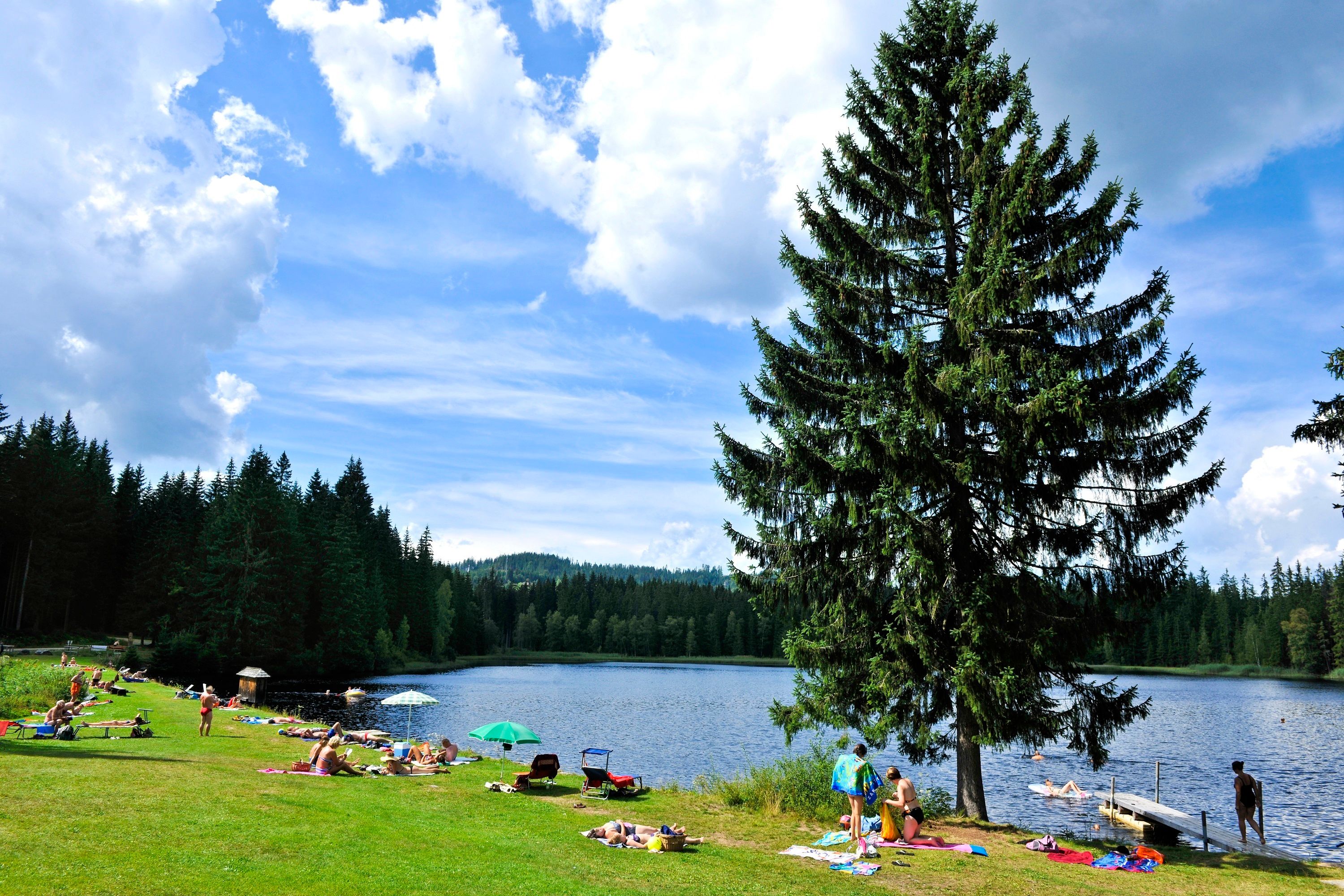 Badebetrieb am Stierhüblteich in Karlstift im Naturpark Nordwald