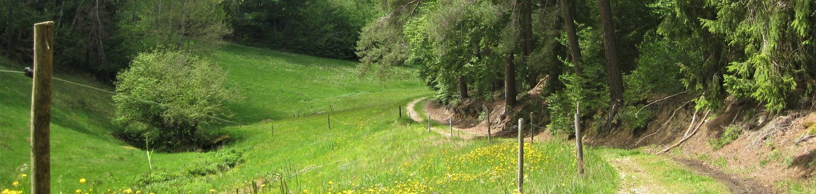 Wanderparadies Nordwald, &copy; Verein Naturpark Nordwald