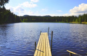 Stierhüblteich in Karlstift (Foto: Dr. Rainhard Nieder), © Verein Naturpark Nordwald