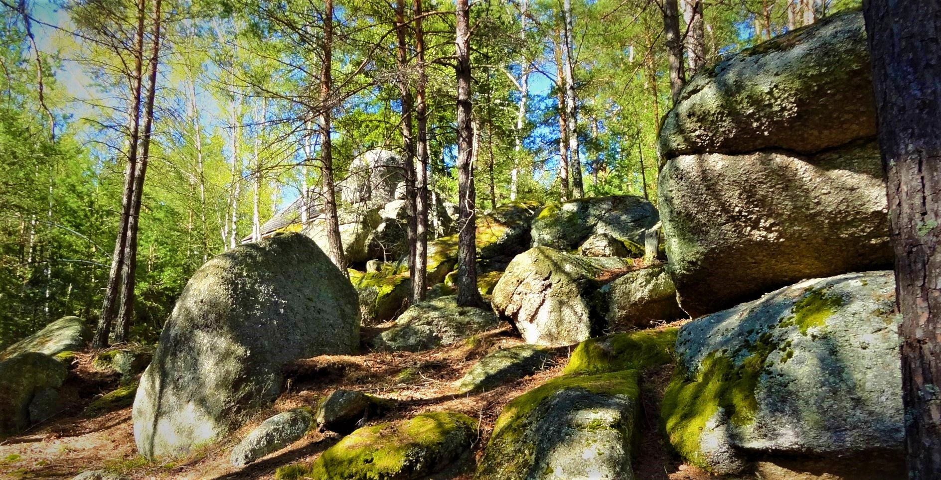 Markante Felsformation im Föhrenwald bei der Kapelle zur Mutter Gottes im Naturpark Nordwald