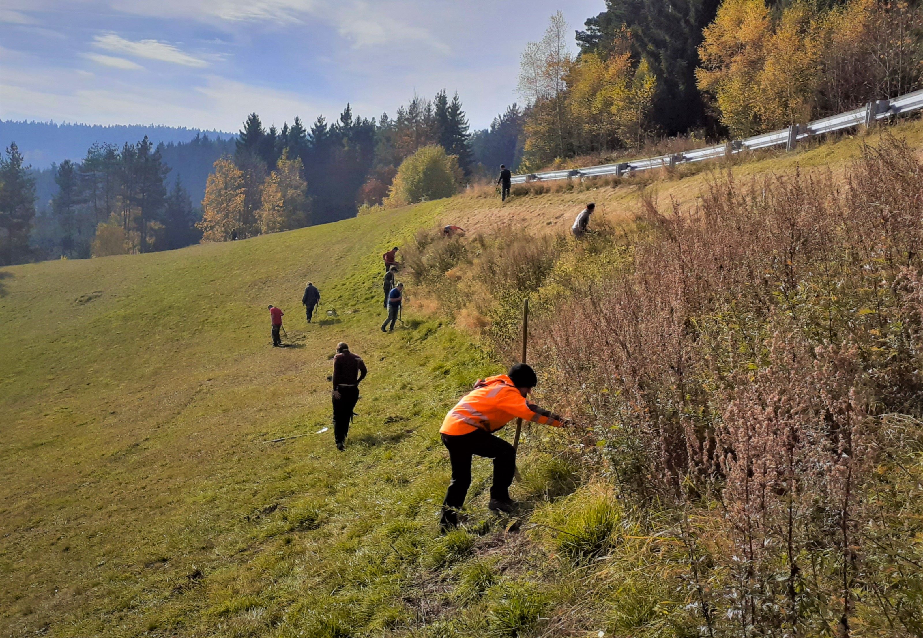 Mehrere Personen bei Pflegearbeiten an einem Wiesenhang im Naturpark Nordwald