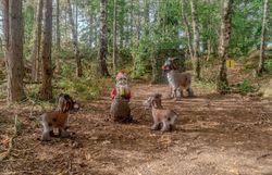Mehrere 3D-Tierziele und ein Gartenzwerg auf einem Fass in einer Waldlandschaft des Bogenparcours im Naturpark Nordwald