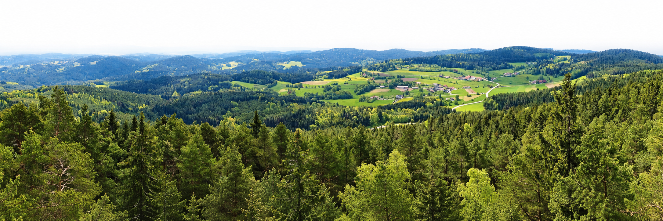 Panoramablick vom Aussichtsturm am Schwarzenberg über die Waldviertler Landschaft