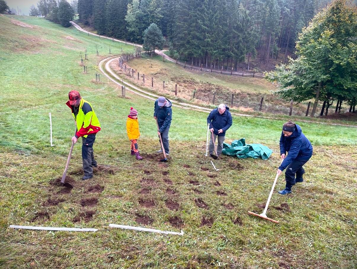 Anlage kleiner offener Bodenstellen für den Böhmischen Kranzenzian im Naturpark Nordwald