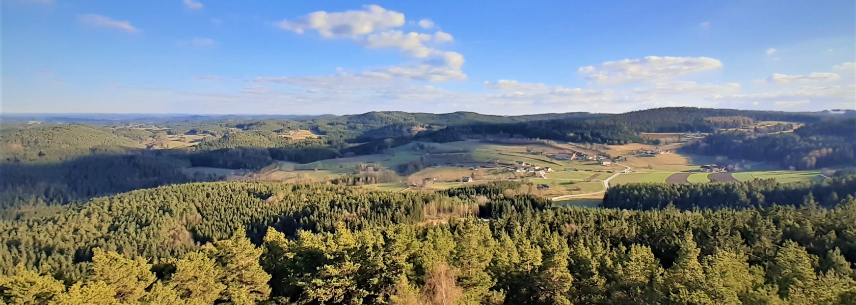 Weitblick vom Aussichtsturm am Schwarzenberg, © Verein Naturpark Nordwald
