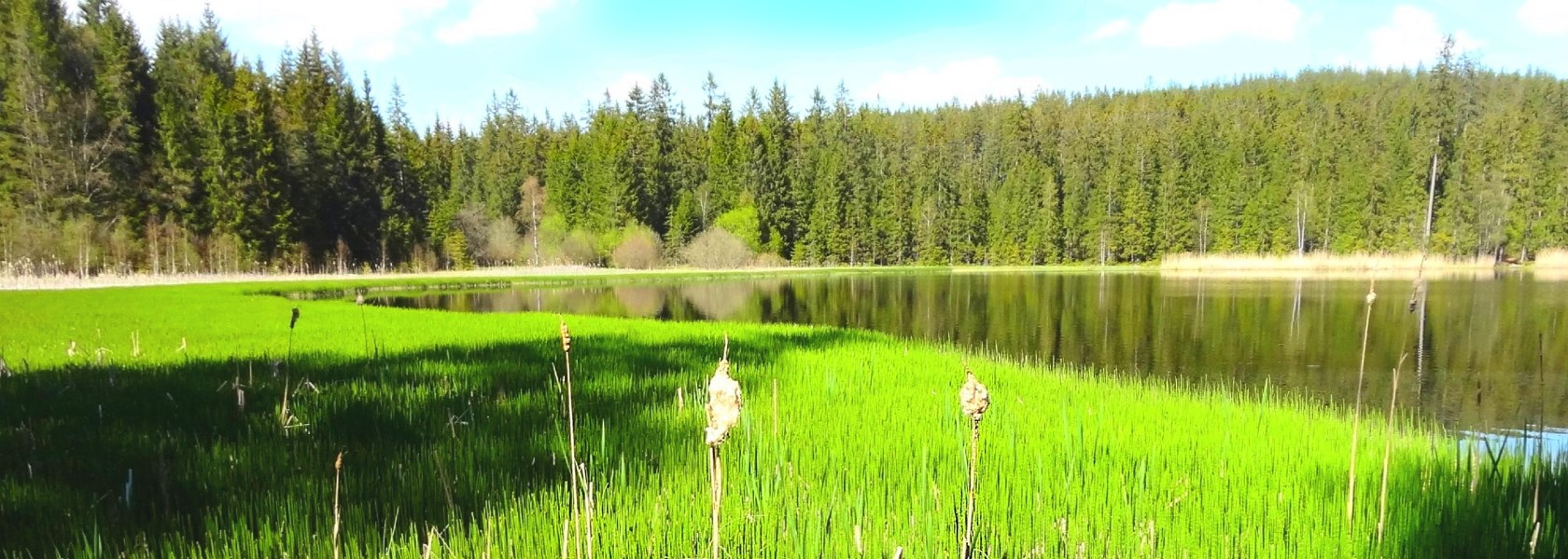 Stierhüblteich in Karlstift, © Verein Naturpark Nordwald