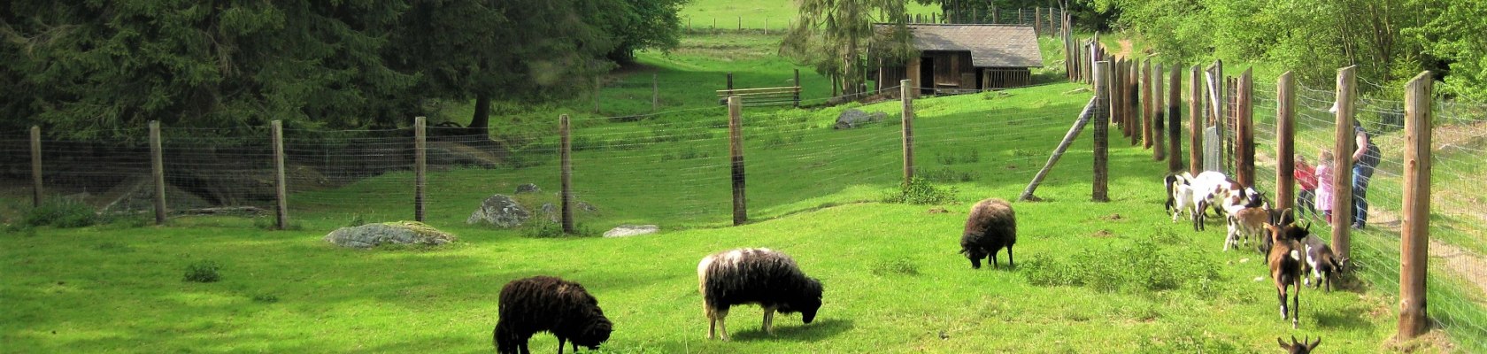 Seltene Nutztierrassen im Naturpark Nordwald, &copy; Verein Naturpark Nordwald