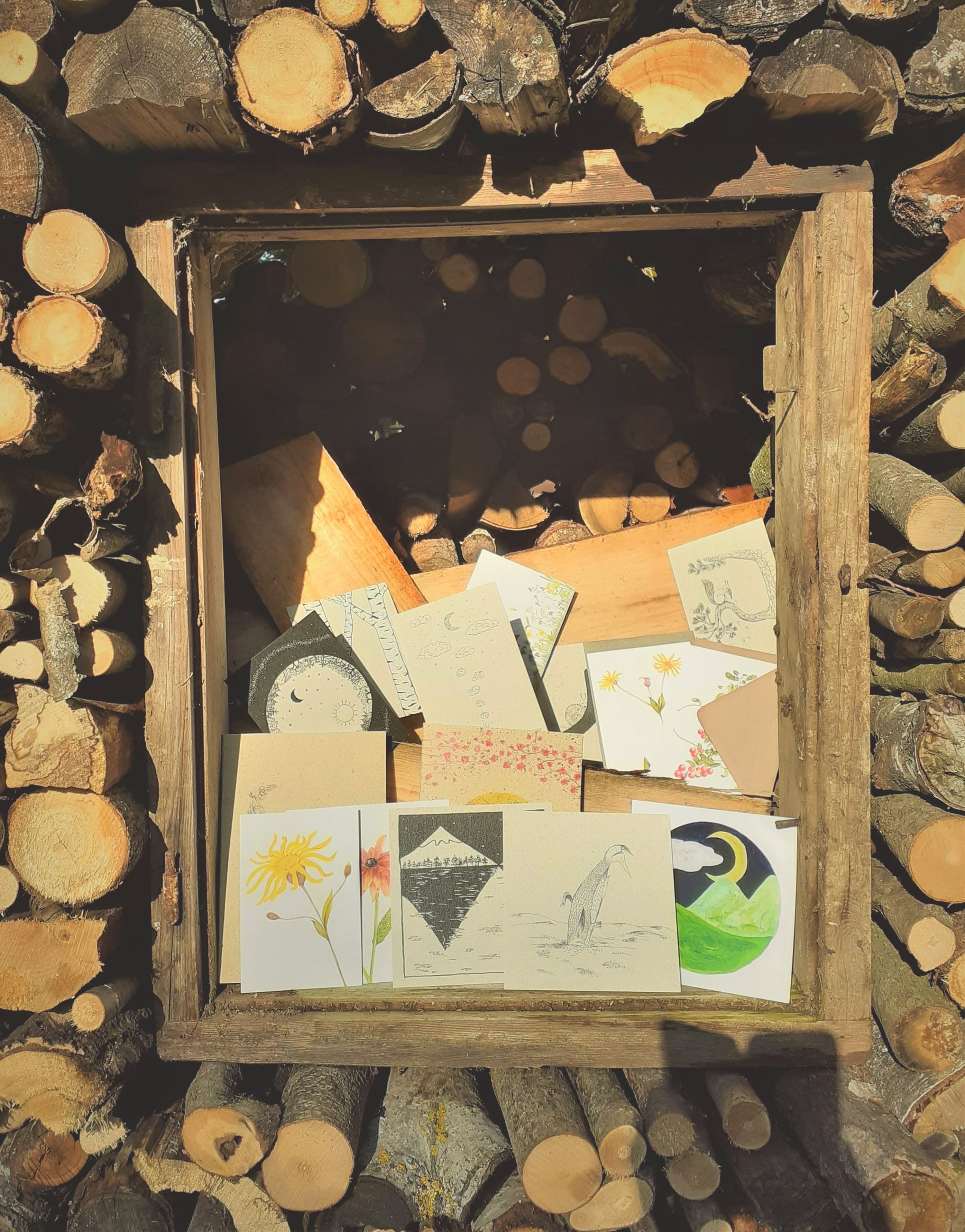 Postkarten und Papeterie des Naturparks Nordwald mit botanischen Illustrationen, präsentiert in einer Holzkiste