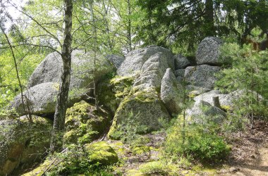 Laufende Projekte, © Verein Naturpark Nordwald