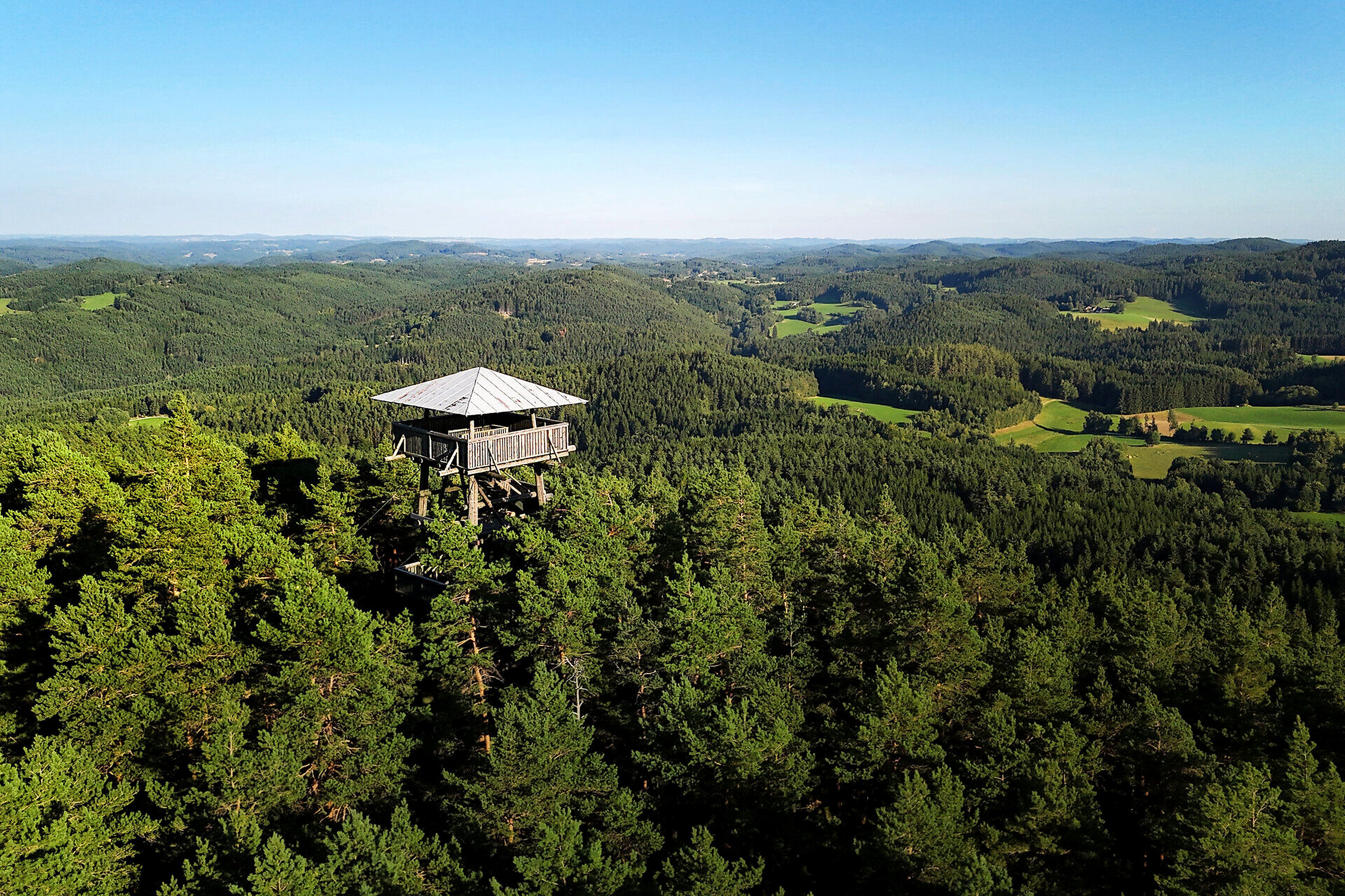 Aussichtsturm am Schwarzenberg über den Baumwipfeln mit weitem Blick auf die bewaldete Hügellandschaft des Naturparks Nordwald