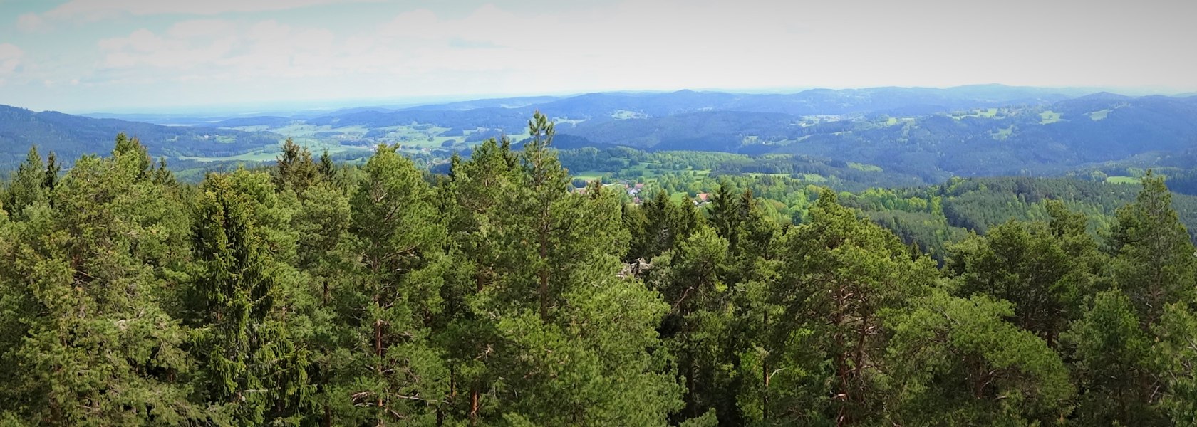 View from the lookout tower on Schwarzenberg hill, © Verein Naturpark Nordwald