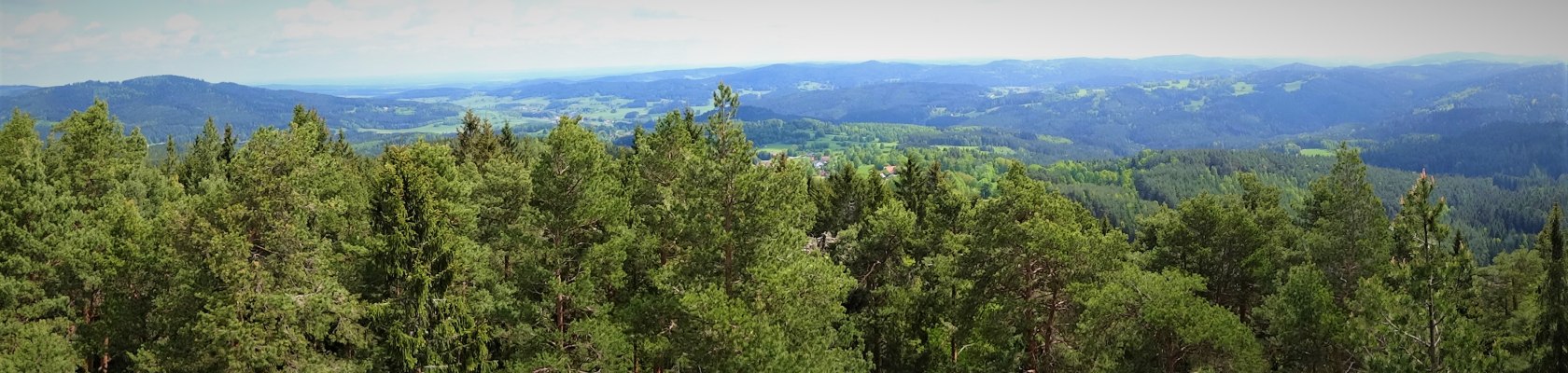 View from the lookout tower on Schwarzenberg hill, © Verein Naturpark Nordwald