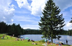 Badeplatz am Stierhüblteich, © Verein Naturpark Nordwald