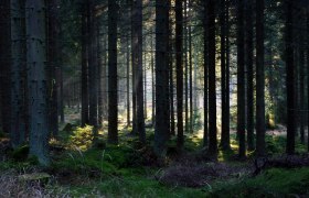 Karlstift, &copy; &copy; Atticus