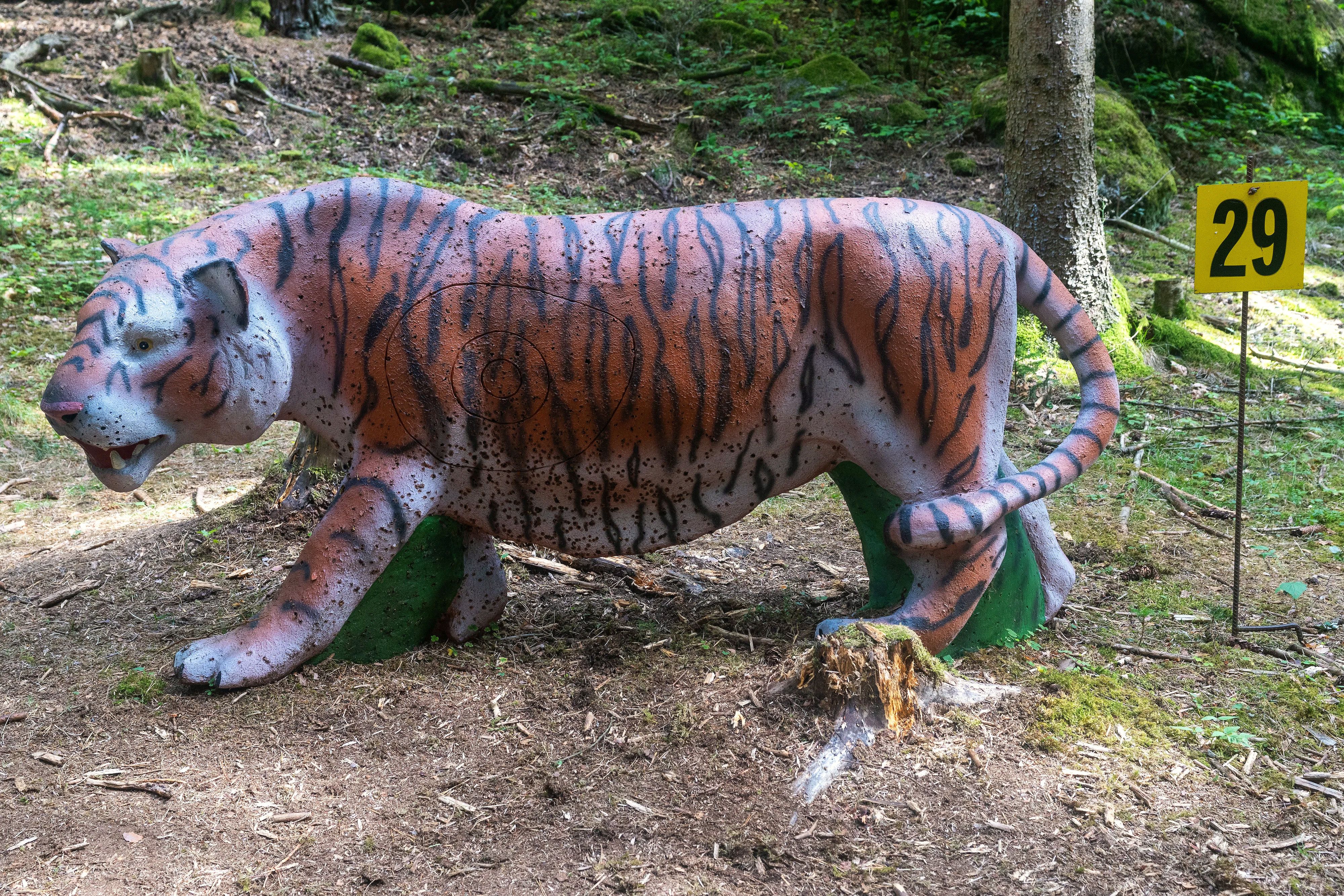 Gestreiftes 3D-Tigerziel in schleichender Haltung mit langem, gebogenem Schwanz auf einem Waldboden