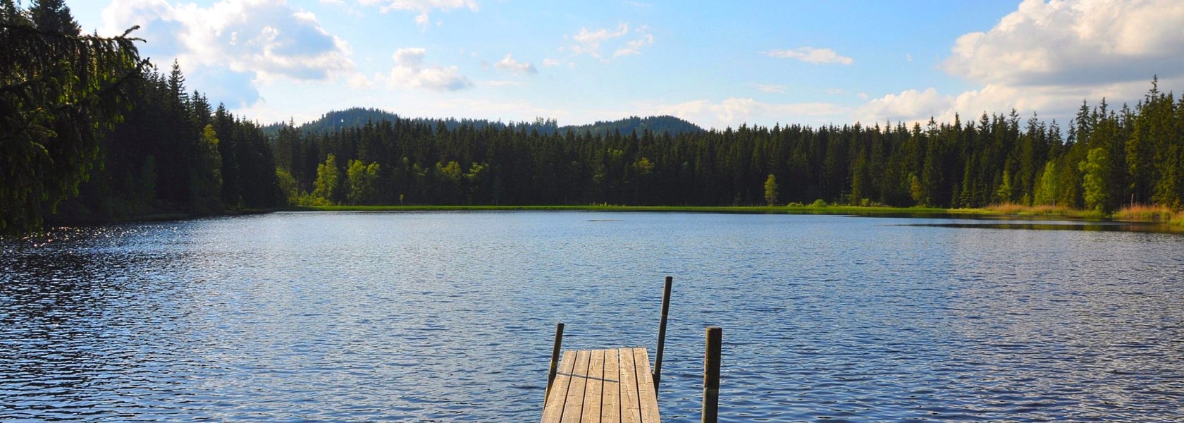 Stierhüblteich in Karlstift, © Verein Naturpark Nordwald | Foto: Dr. Reinhard Nieder