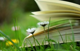 Buch in der Blumenwiese, © Pixabay