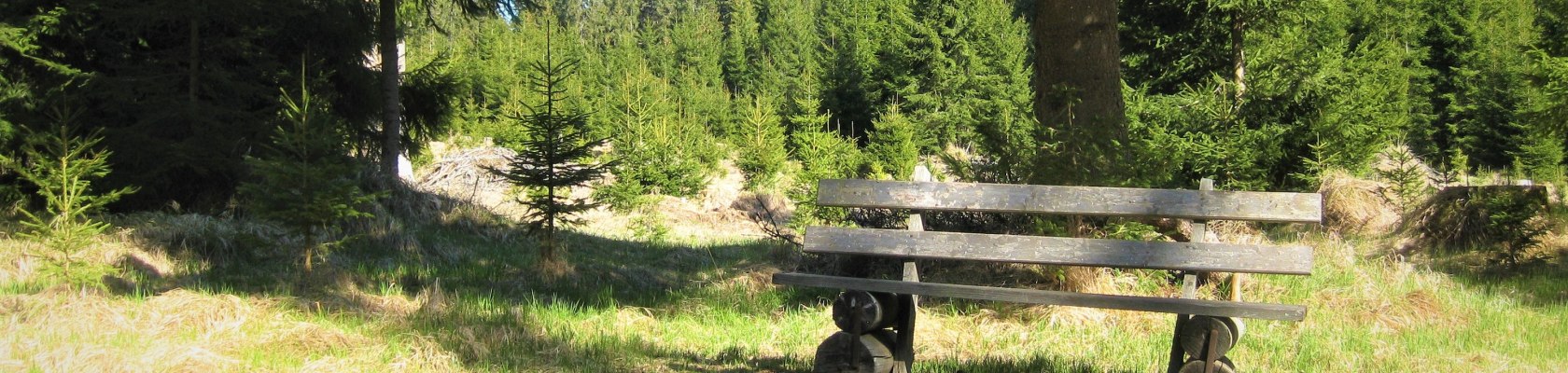 Rast im Naturpark Nordwald, &copy; Verein Naturpark Nordwald