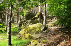 Felsformation bei den Tiergehegen, © Verein Naturpark Nordwald