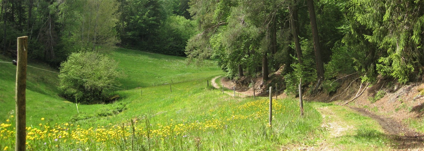 Wanderparadies Nordwald, © Verein Naturpark Nordwald