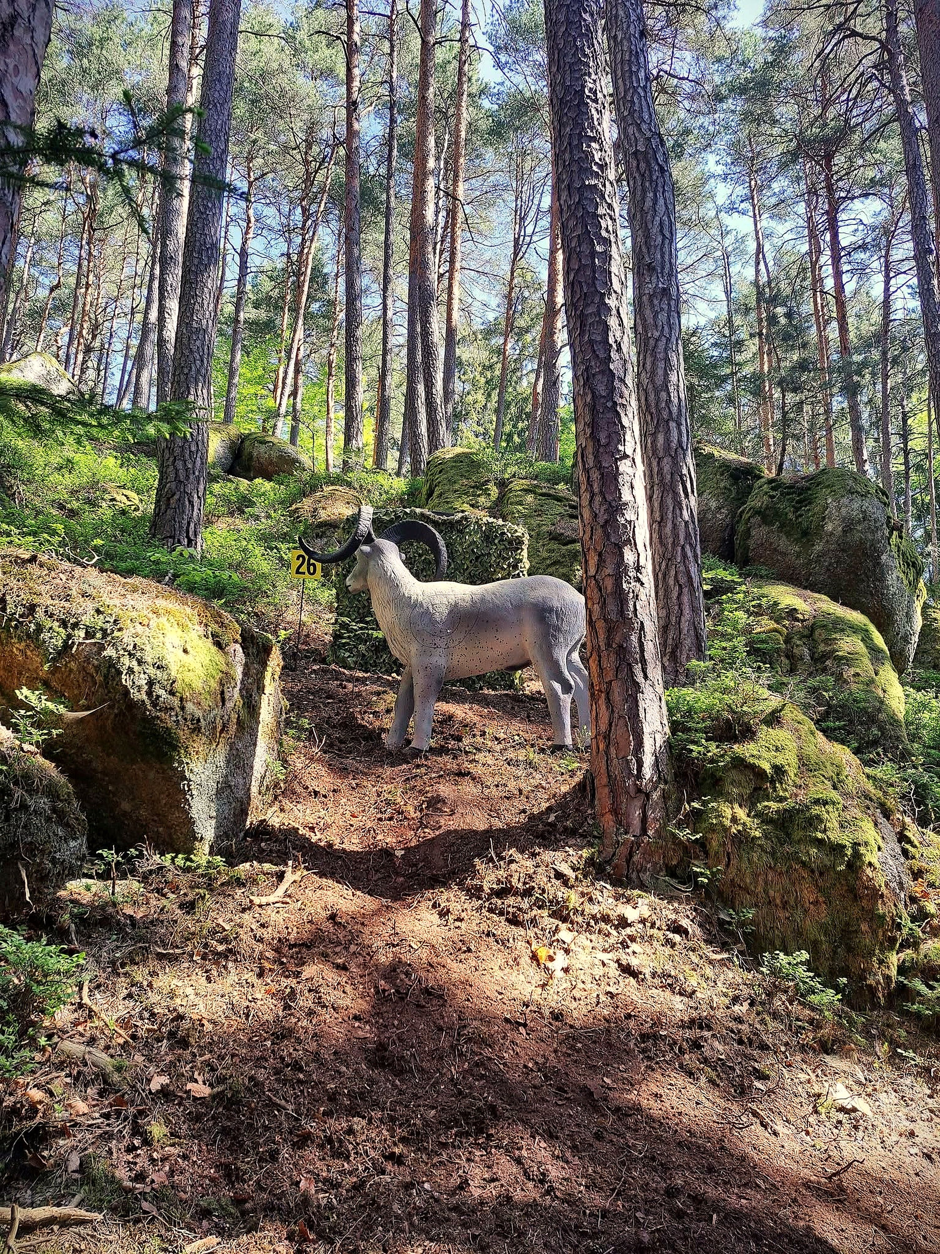 Naturgetreues 3D-Widderziel zwischen Föhren und moosbewachsenen Granitblöcken auf dem Bogenparcours im Naturpark Nordwald