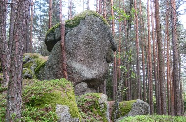 Geplante Projekte, © Verein Naturpark Nordwald