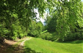 Eisenwurzenweg 608, © Verein Naturpark Nordwald