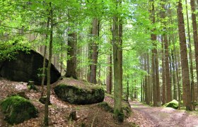 Nordwald - Strecke, © Verein Naturpark Nordwald