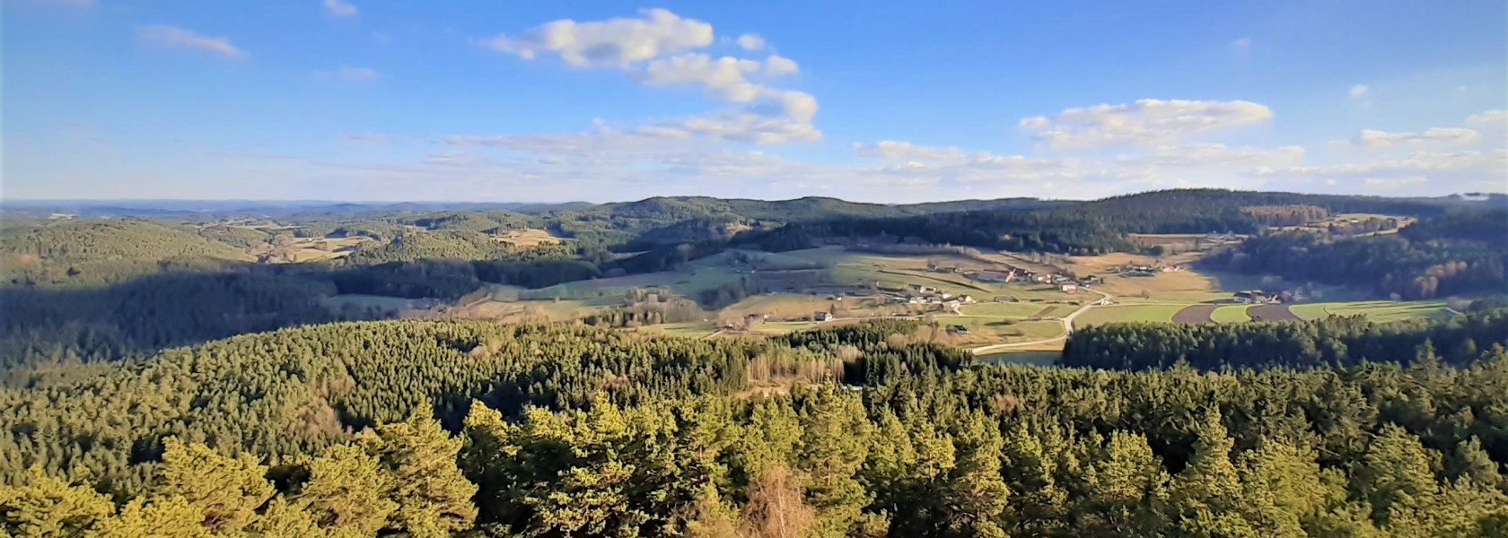 Weitblick vom Aussichtsturm am Schwarzenberg, © Verein Naturpark Nordwald