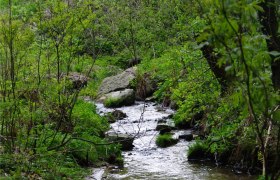 Lainsitztal - Strecke Teil 2, © Verein Naturpark Nordwald