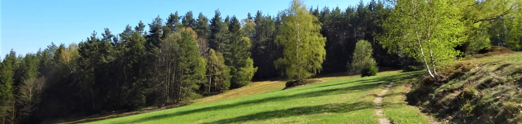 Feldweg im Naturpark Nordwald, © Verein Naturpark Nordwald