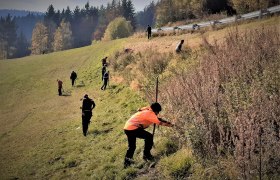 Pflegeeinsatz im Naturpark Nordwald, © Verein Naturpark Nordwald