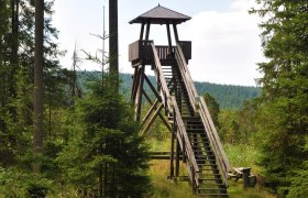 Hochmoorweg – Aussichtsturm, © Verein Naturpark Nordwald | Foto: Dr. Reinhard Nieder