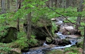 Nord-Süd-Weitwanderweg 605, © Verein Naturpark Nordwald