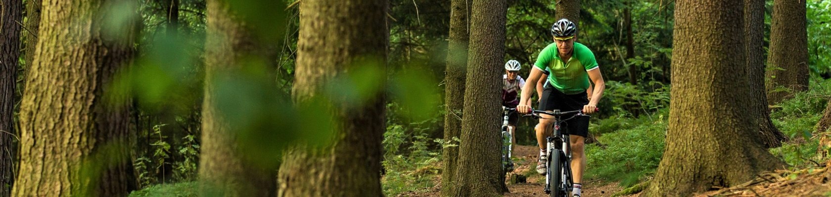 Mountainbiken und Radfahren, © Waldviertel Tourismus | Erwin Haiden