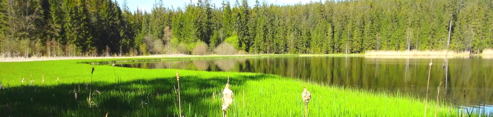 Stierh&uuml;blteich in Karlstift, &copy; Verein Naturpark Nordwald