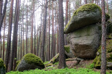 Abgeschlossene Projekte, © Verein Naturpark Nordwald