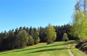 Field path in the Nordwald Nature Park, © Verein Naturpark Nordwald