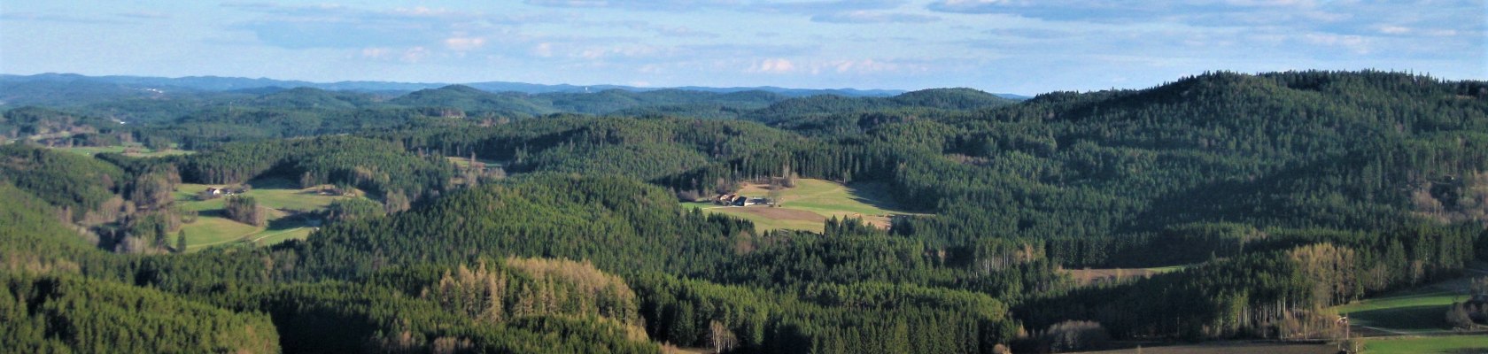 Weitblick vom Aussichtsturm am Schwarzenberg, © Verein Naturpark Nordwald